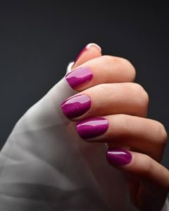Royal Plum